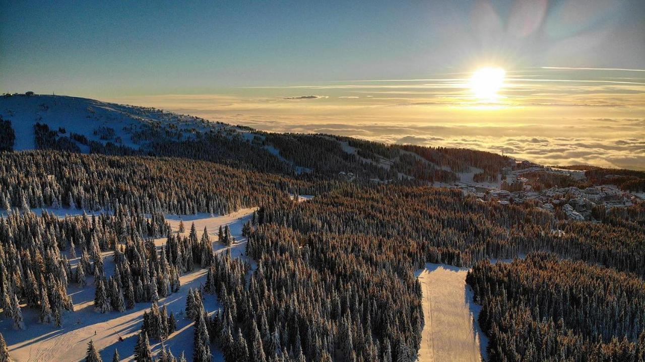 Ski & Spa Apartment S20 Milmari Resort Копаоник Экстерьер фото