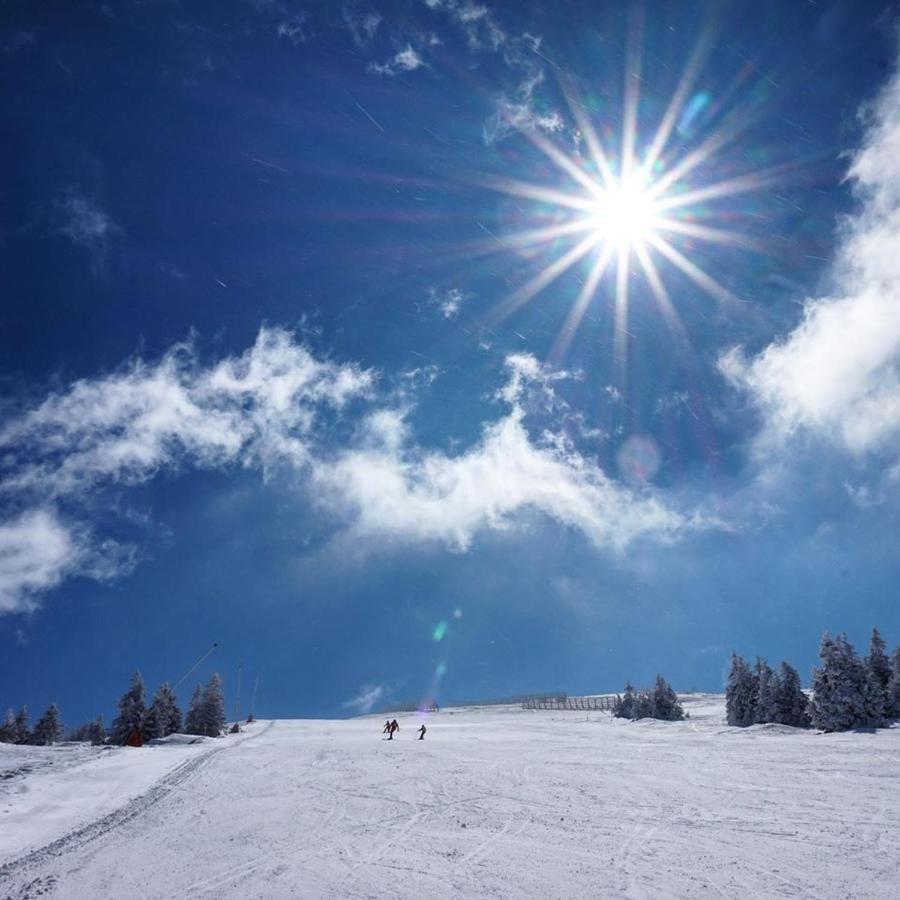 Ski & Spa Apartment S20 Milmari Resort Копаоник Экстерьер фото